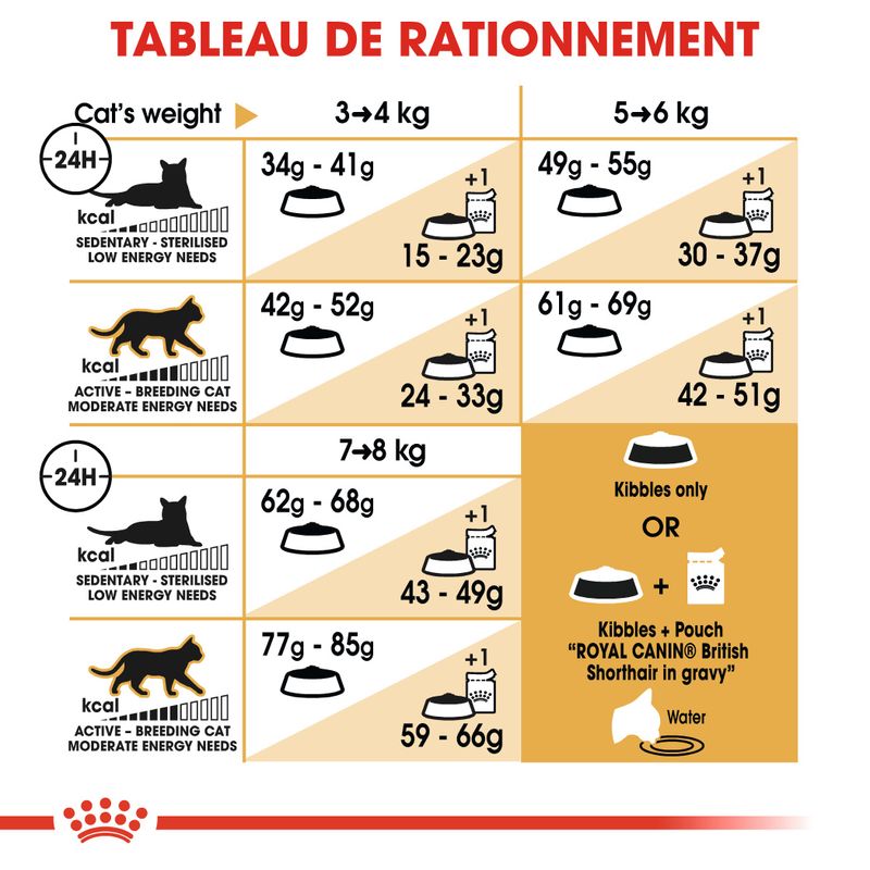 Royal Canin British Shorthair Adult à prix discount sur bitiba.fr