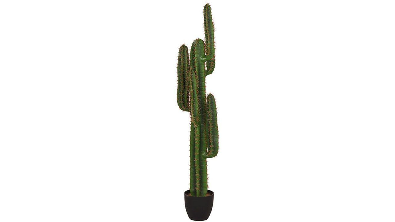 Kunstplant Cactus DS-54.004B90 x D25 x H130 cm