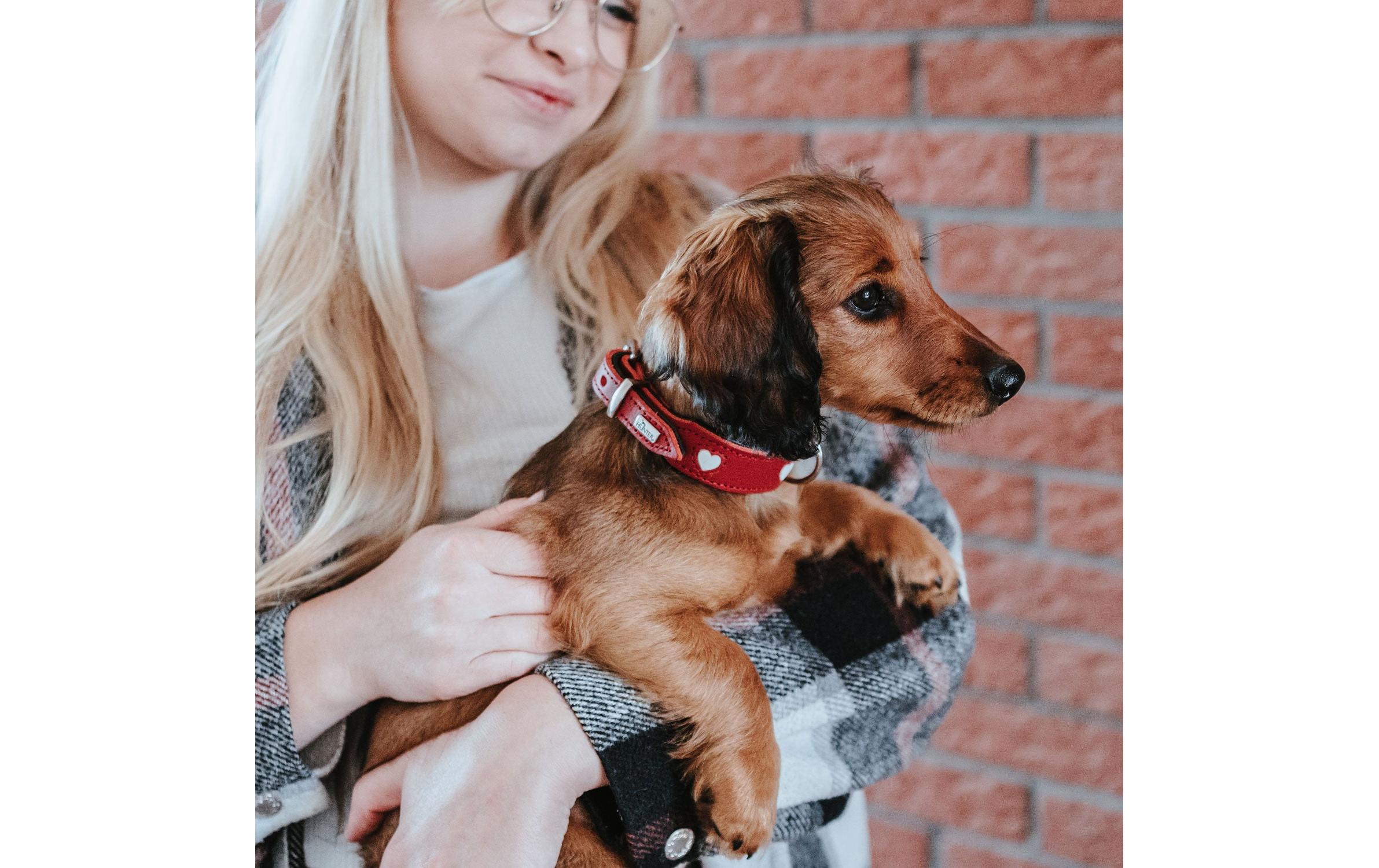 Halsband Love S-M (42), Rot/SchwarzHundehalsband mit Herz