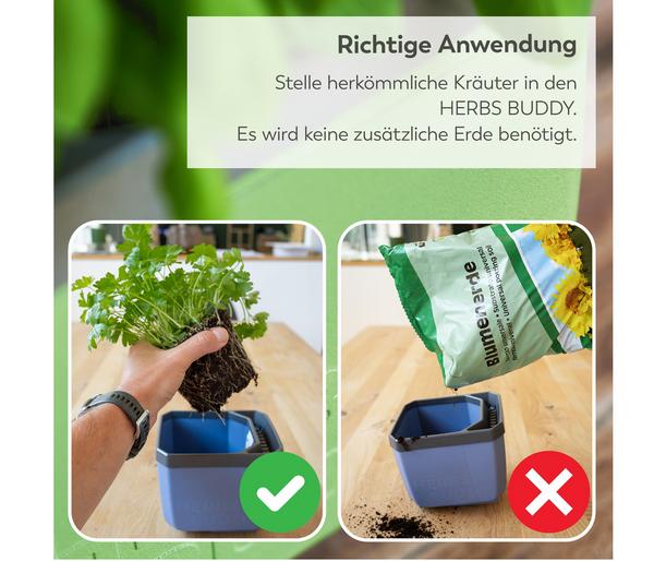 Gusta Garden Kräutertopf Herbs Buddy, ca.