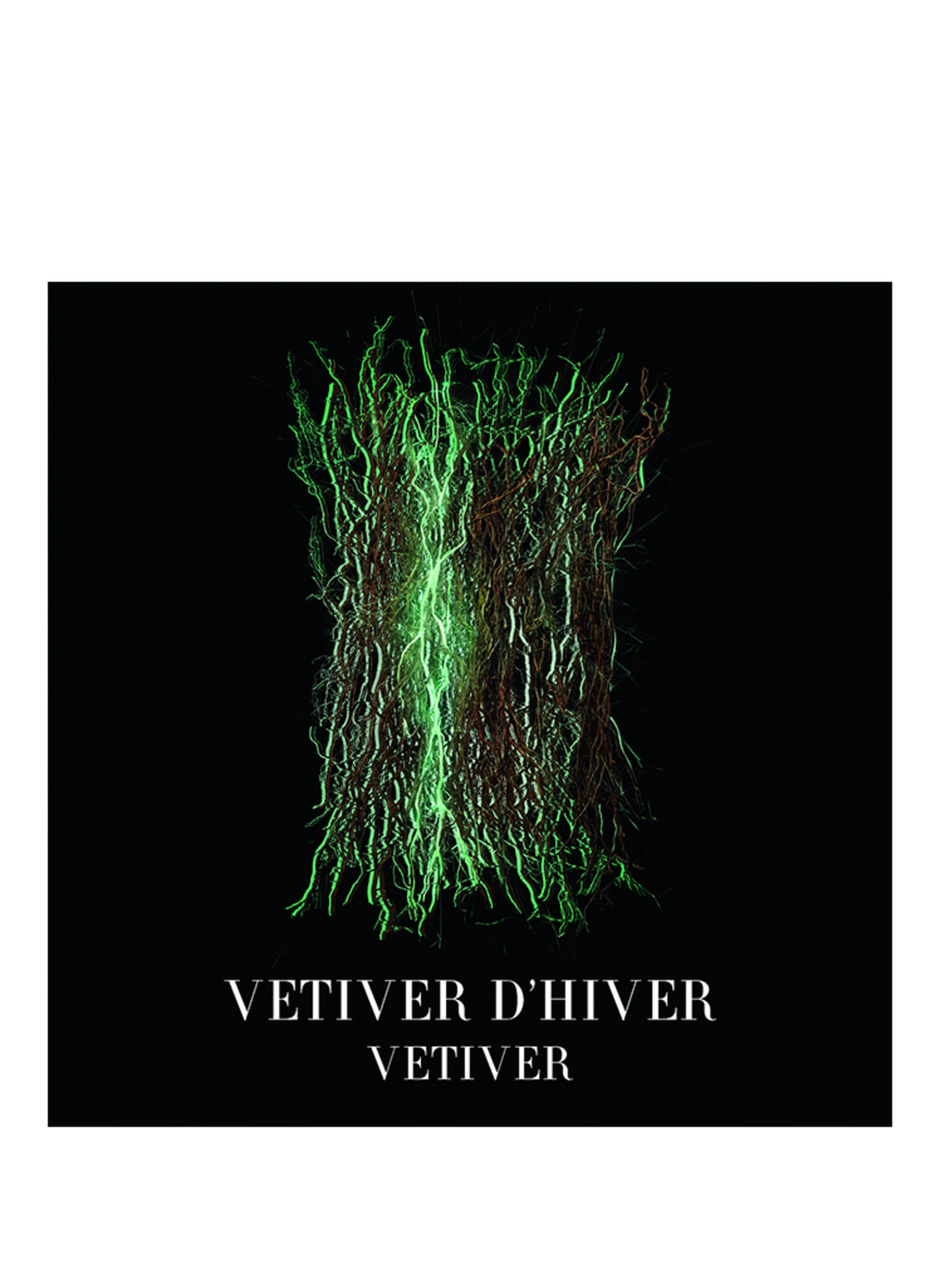 ARMANI PRIVÉ VÉTIVER D'HIVER