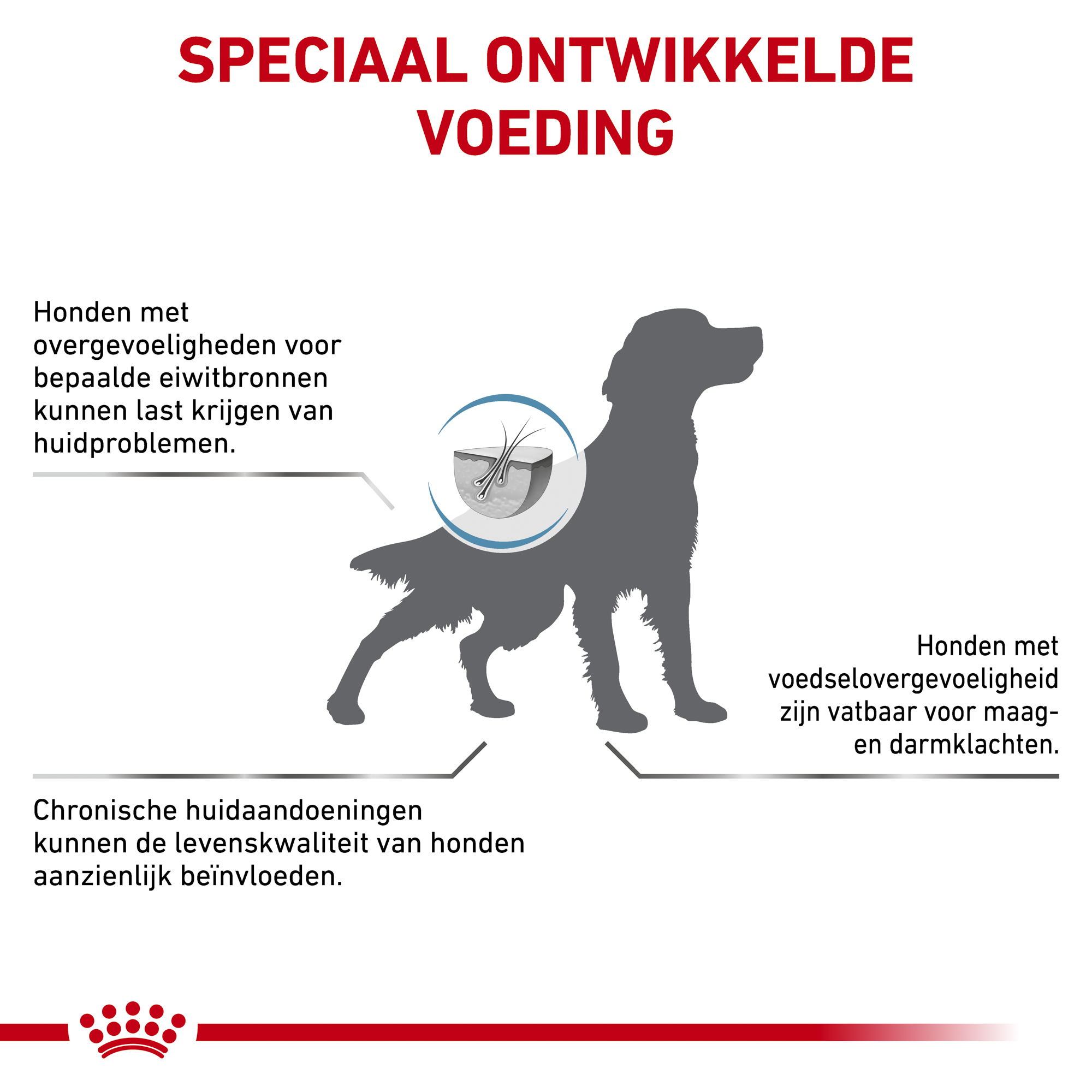 Royal Canin Anallergenic Hond