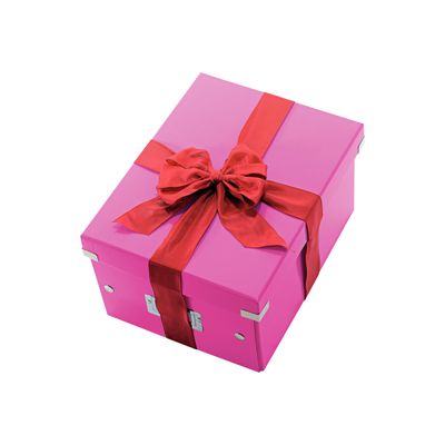 Leitz Click & Store - Boîte de rangement A4 - rose métallisé