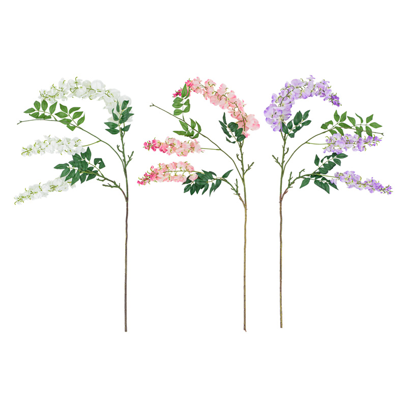 Branche de glycines
