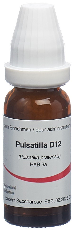Omida Pulsatilla Glob 12 D 14 g