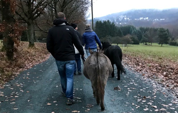Eseltrekking Glashütten