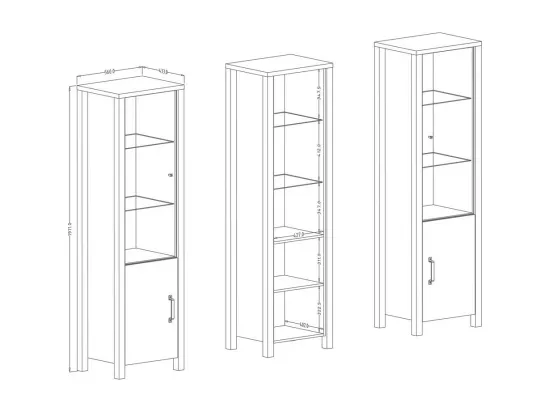 Vitrine haute 2 portes design DARWIN – Épicéa et noir