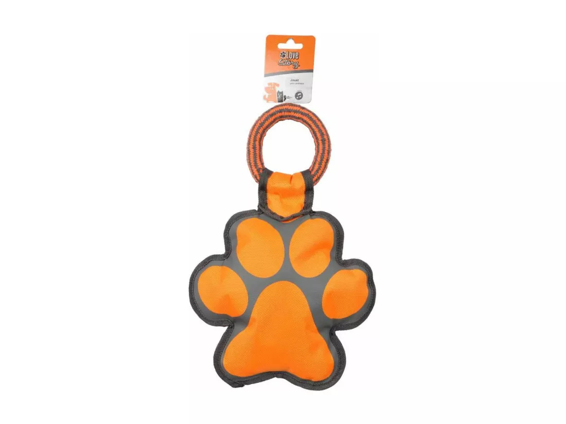 Jouet pour Chien 