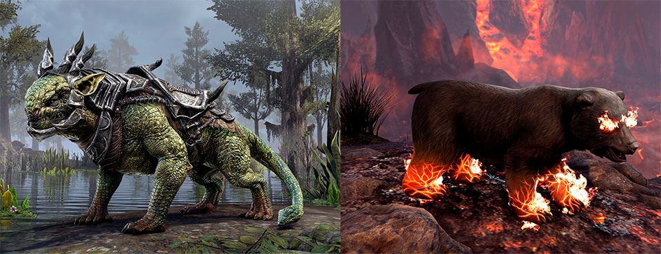 Bethesda Spielesoftware »The Elder Scrolls Online Collection: Blackwood« Xbox One