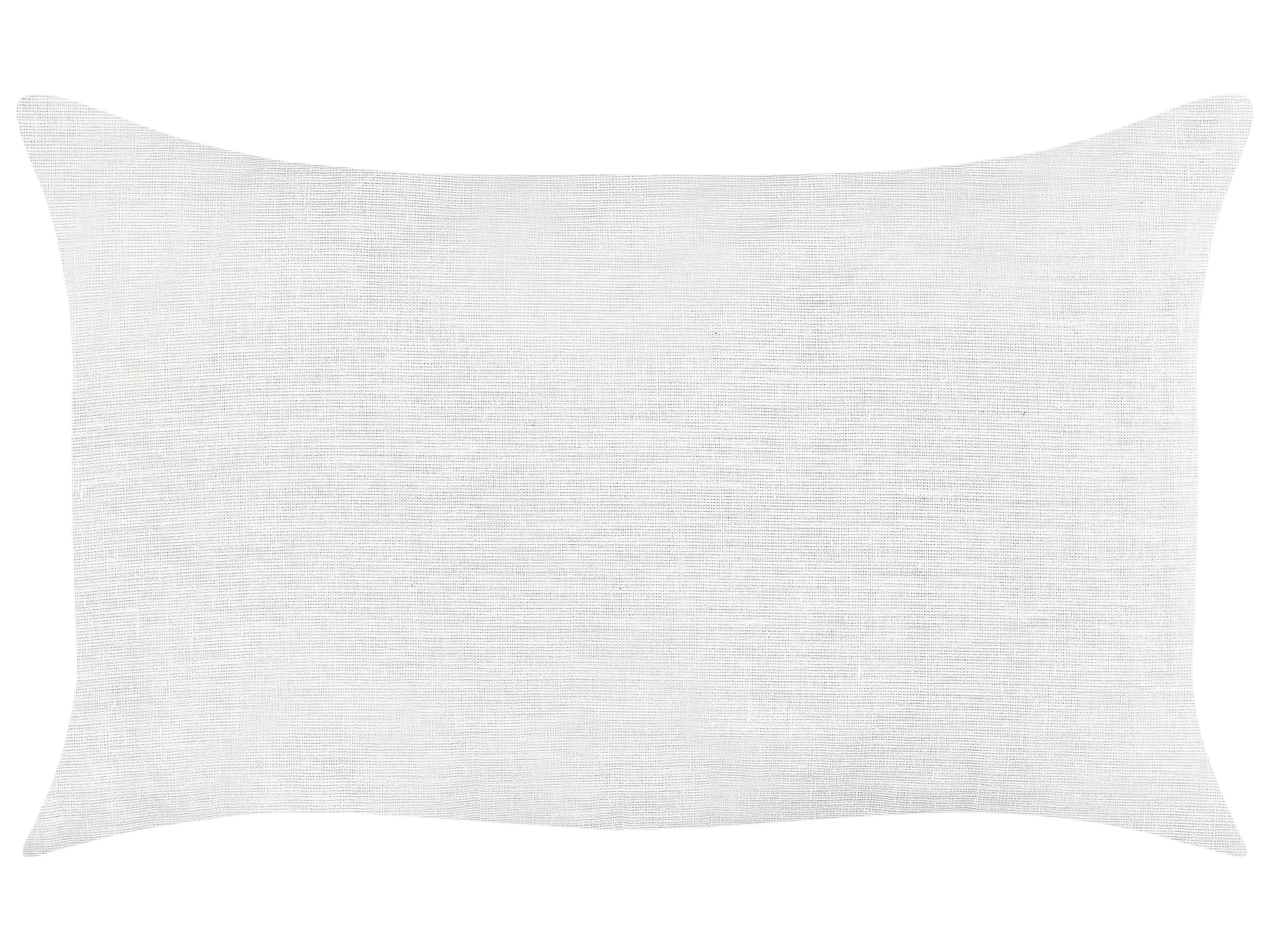 Set van 2 sierkussens BANORI Linnen 30 x 50 cm Wit effen