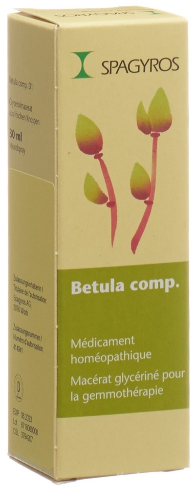 Spagyros Betula comp Glyc Maz 1 D Spr 30 ml