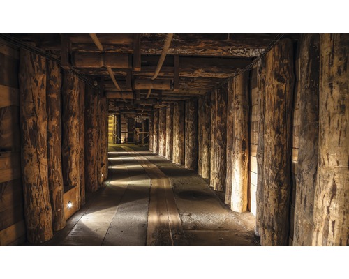 Vliesbehang 1962 VEXXL Mine 3-delige set 312 x 219 cm