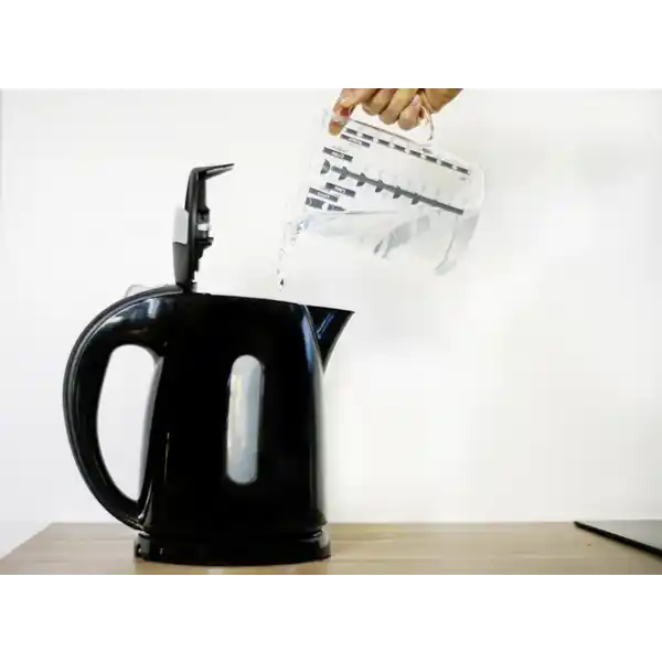 Bio Schnellentkalker 250ml