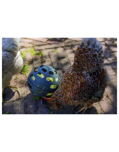 Beeztees Kip Snackbal - Kippenspeeltje - 15 cm Grijs Groen