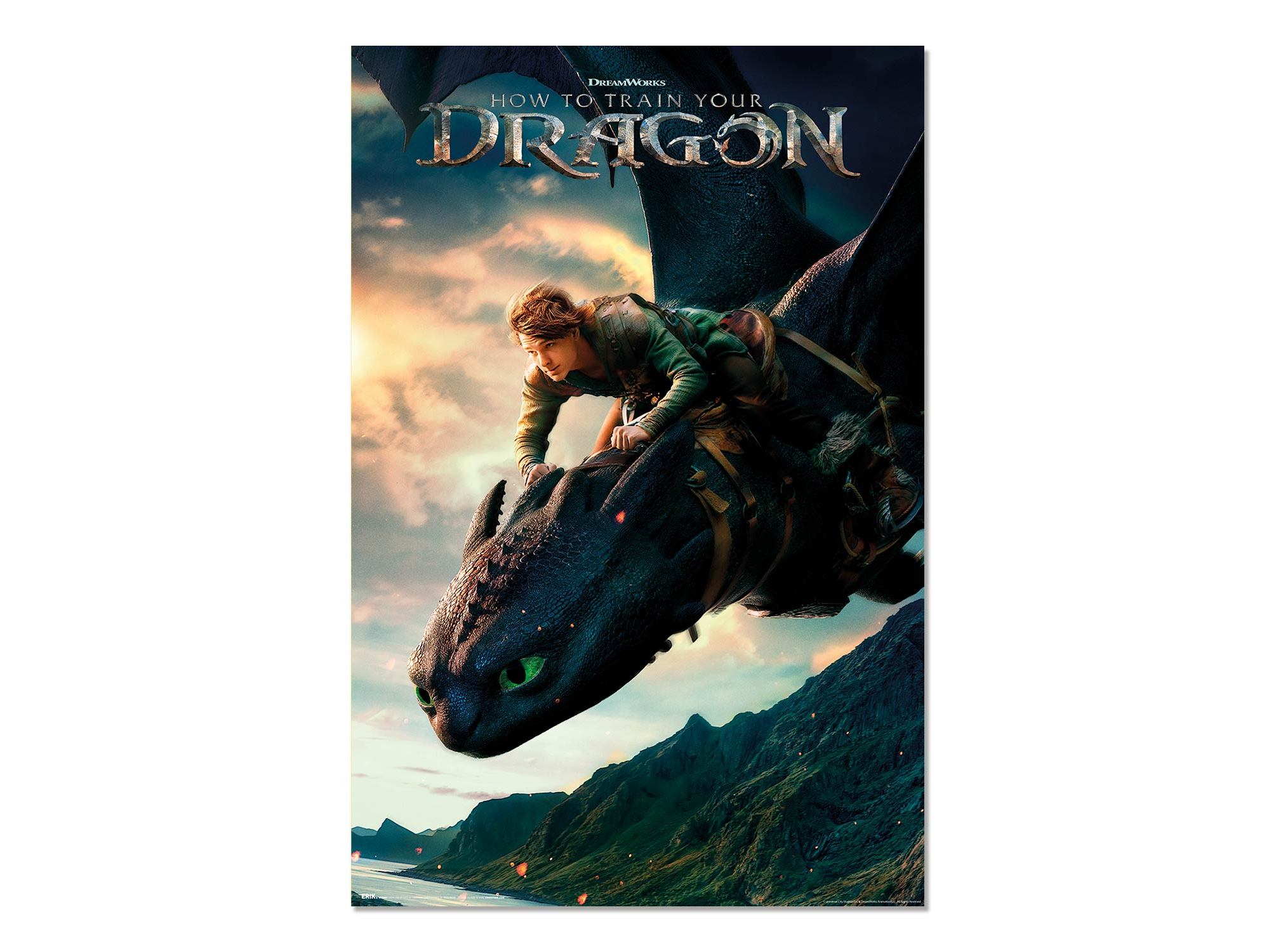 POSTER COMO TREINAR ERIK O TEU DRAGAO