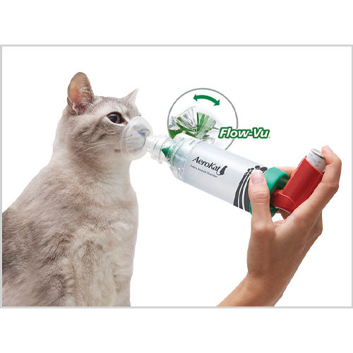 AeroKat Inhalatiesysteem