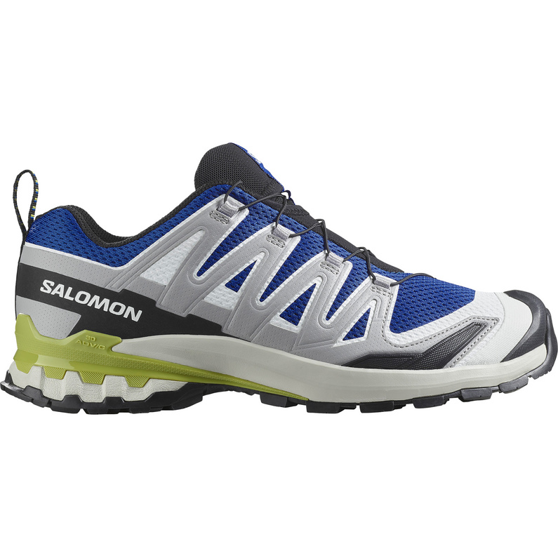 Salomon XA Pro 3D V9 Schuhe