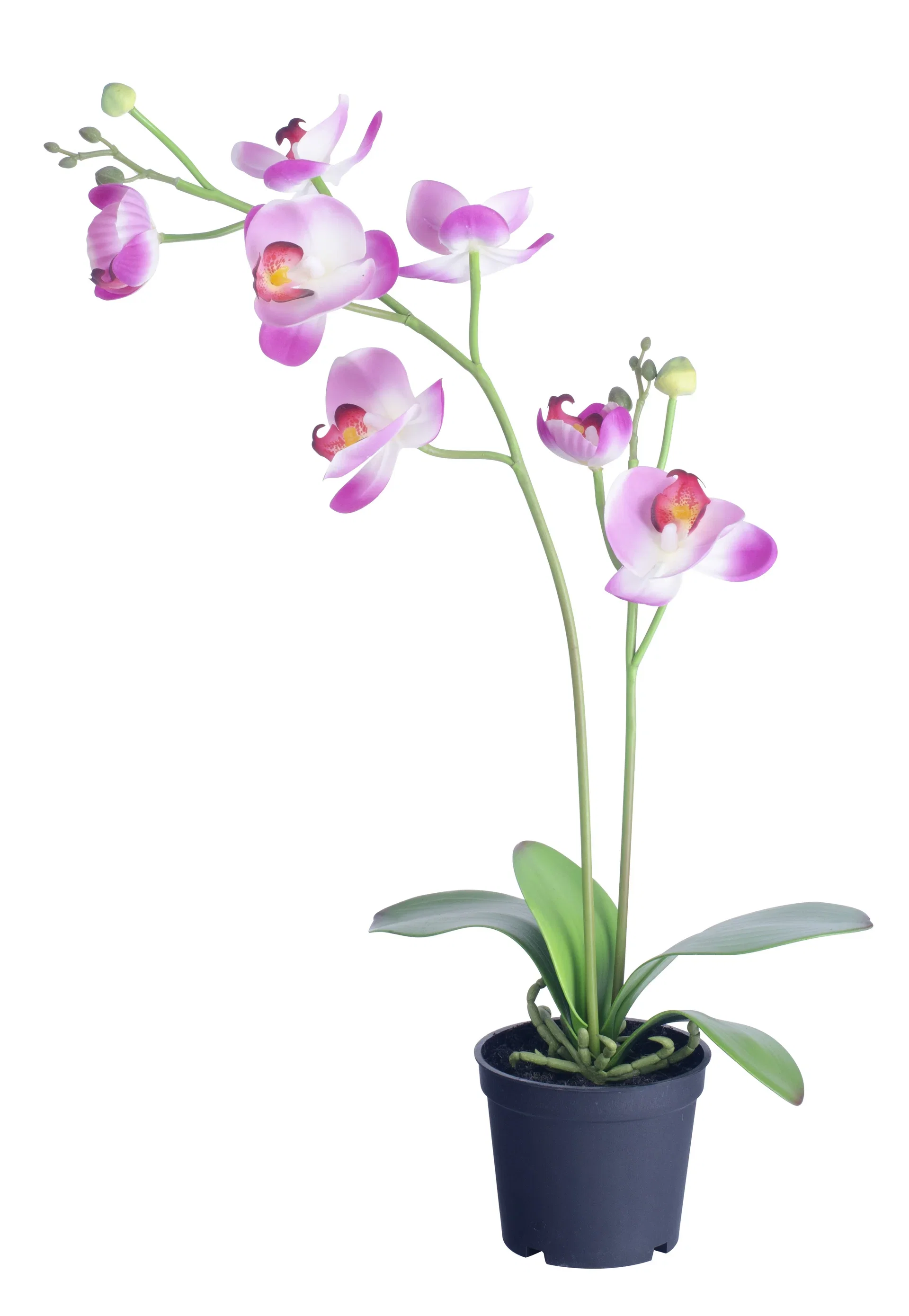 Orkidé kunstig Høyde 53 cm