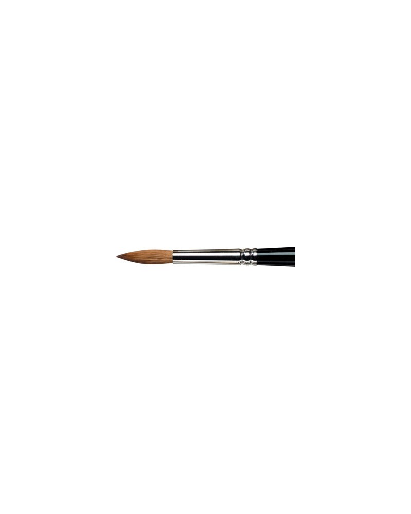 Winsor & Newton KOLINSKY Sable Round series 7 N°8