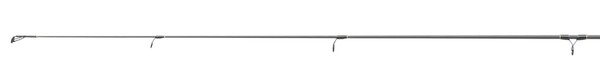 Canne Daiwa Legalis Allround