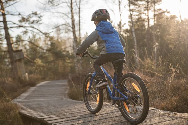 JETT 20 SINGLESPEED Kinder- und Jugendvelo  gloss cobalt ice blue  20 ZOLL