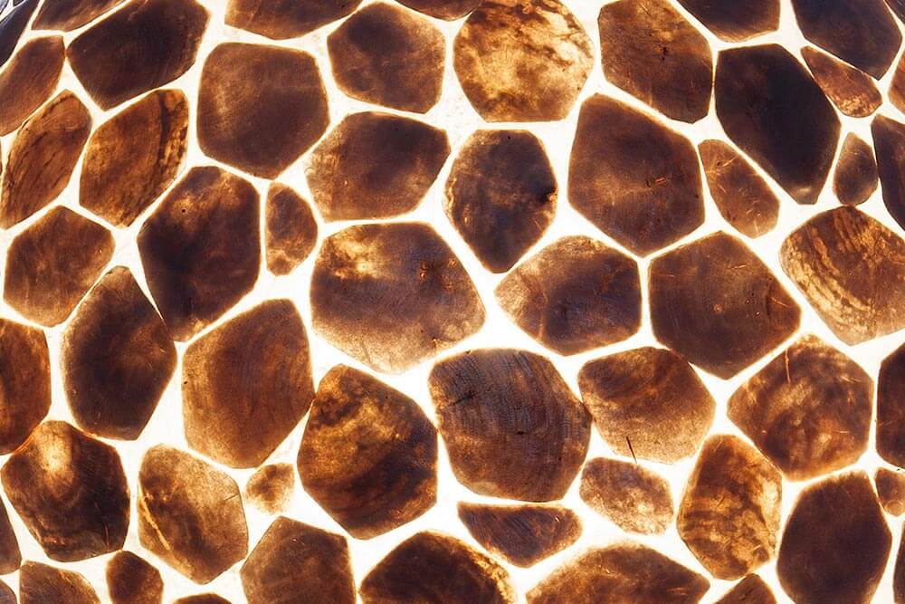 Vloerlamp shell turtle 200