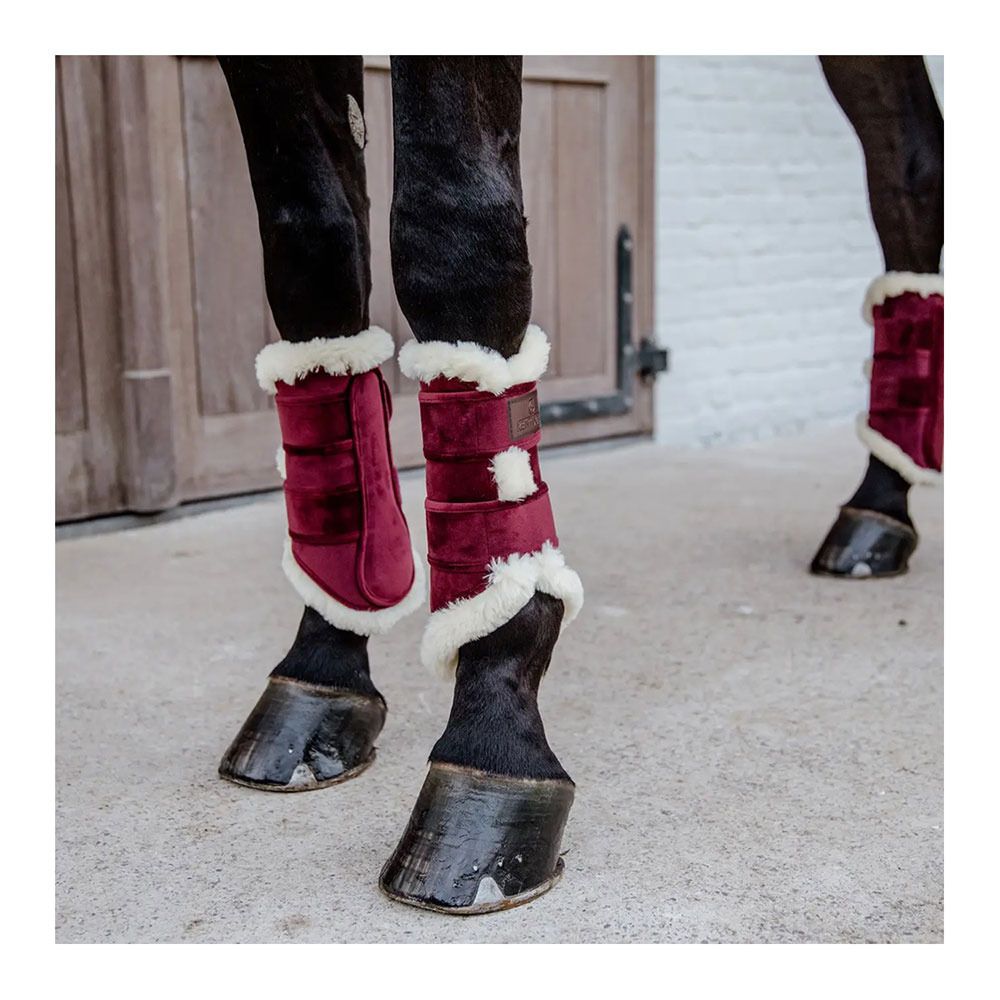 Kentucky VELVET CONTRAST - Guêtres fermés bordeaux