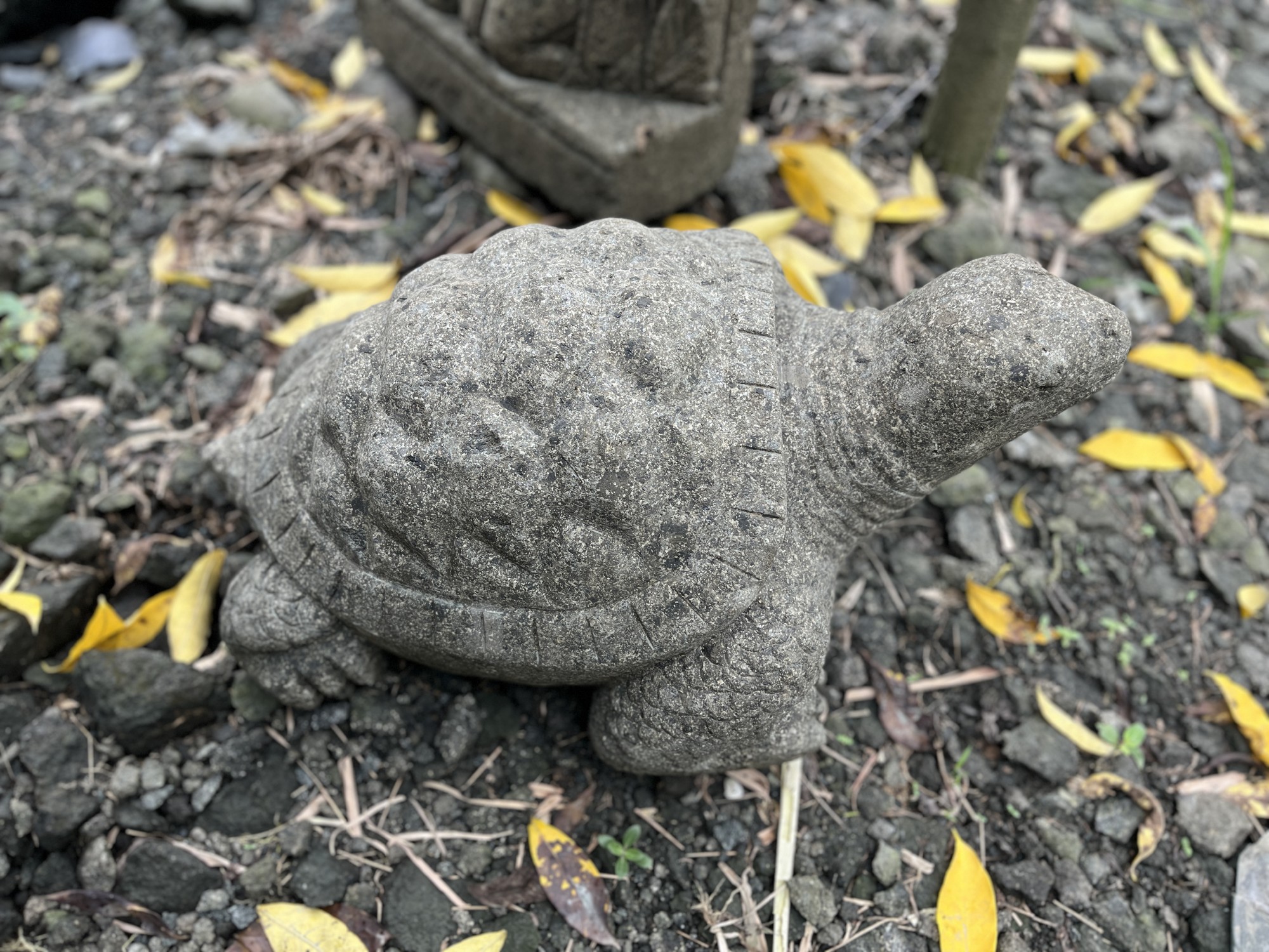 Naturstein 'Schildkröte', B 60 cm, T 40 cm, H 25 cm günstig bestellen