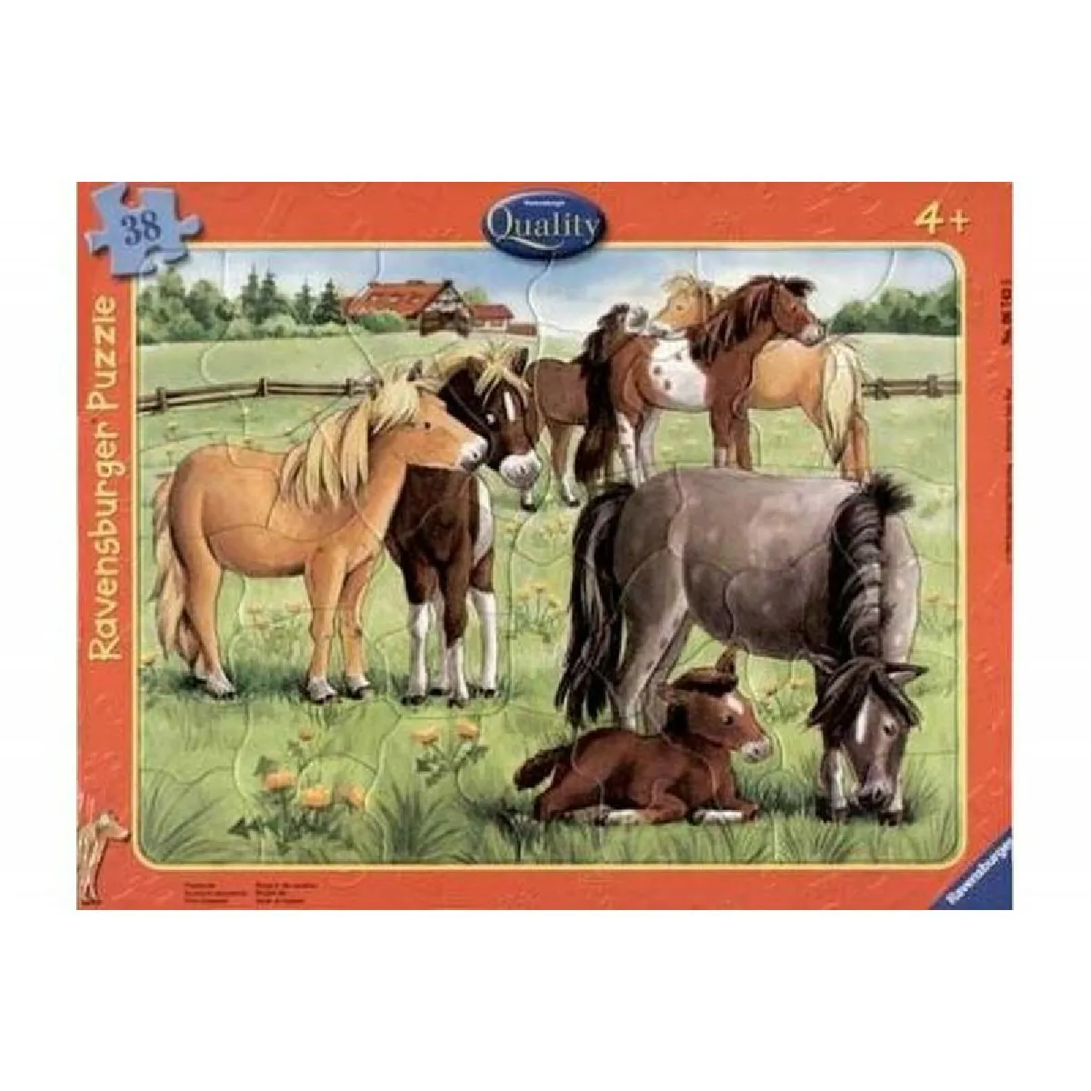 Ravensburger Modèle aléatoire