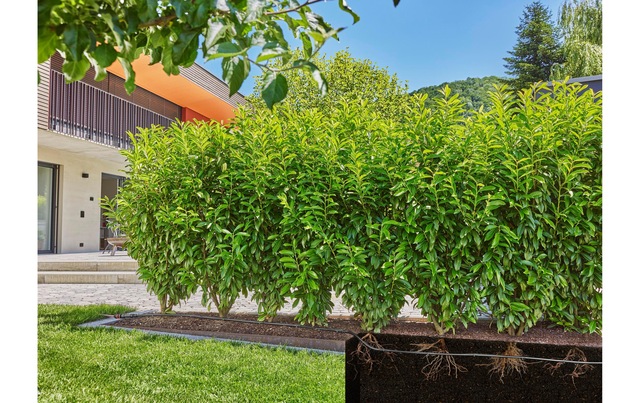 GARDENA Bewässerungssystem »25 m Micro-Drip-System« ()