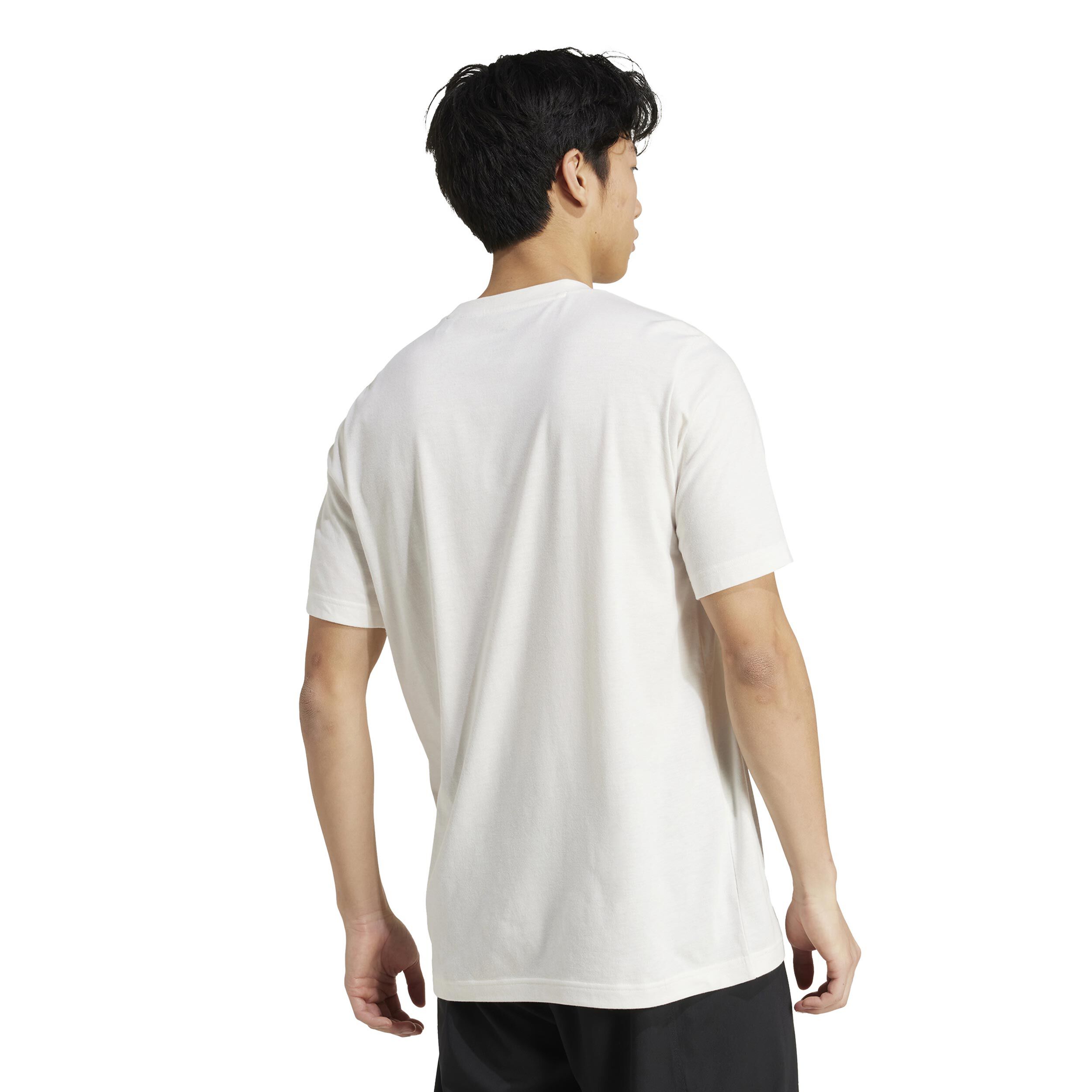 adidas Heritage T-shirt Hommes - Blanc , Vert