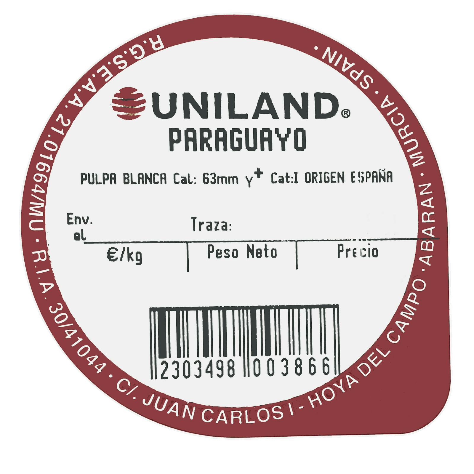 Paraguayens