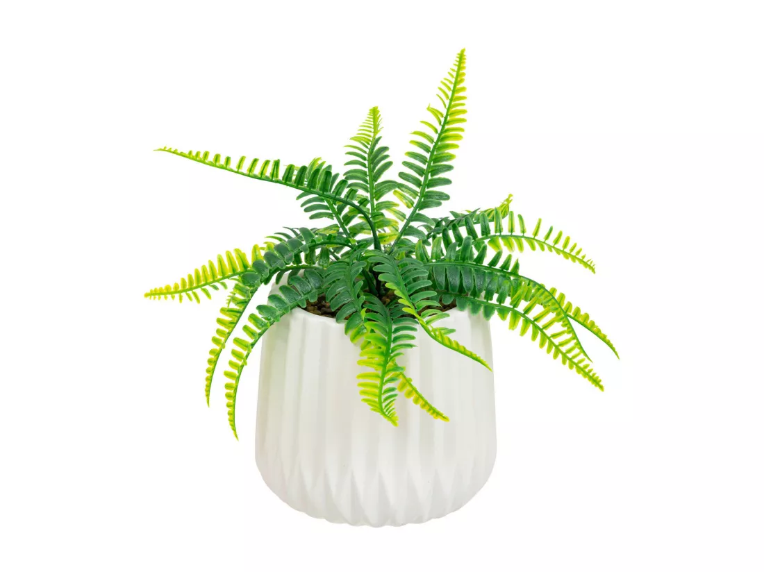 Plante artificielle Fougère dans pot en céramique H 30 cm