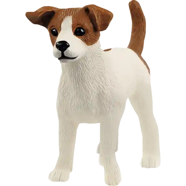 13916 Jack Russell Terrier
