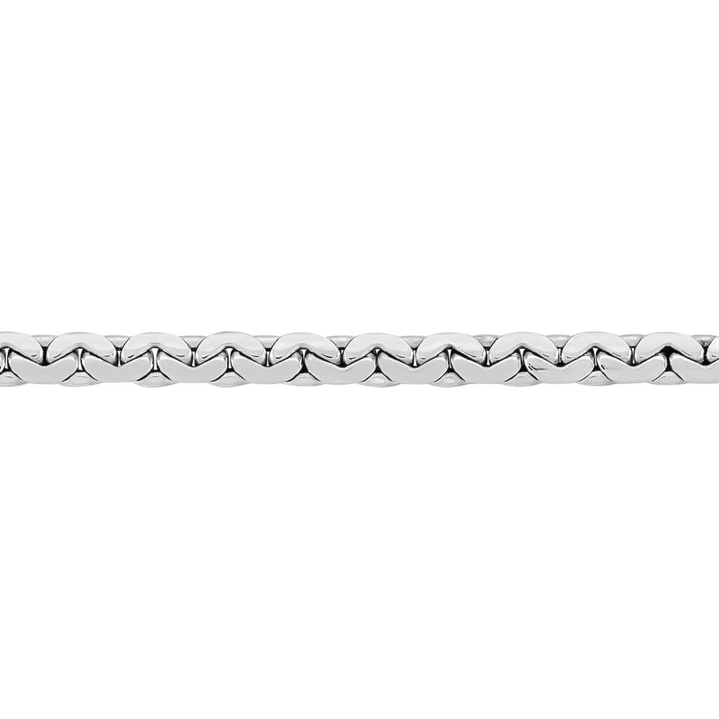 Collier Ivy Maille Haricot Or Blanc