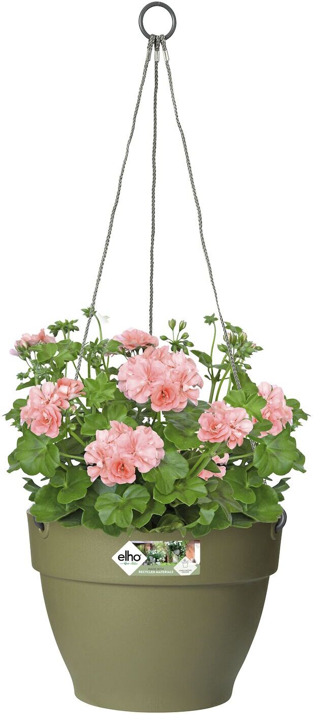 Elho hangpot Vibia groen D 26 H 18 cm