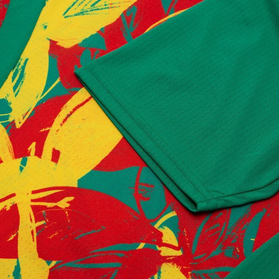 Sénégal T-shirt d'Entraînement Avant-Match Africa Cup of Nations 2025 - Vert/Faster Yellow/Rouge