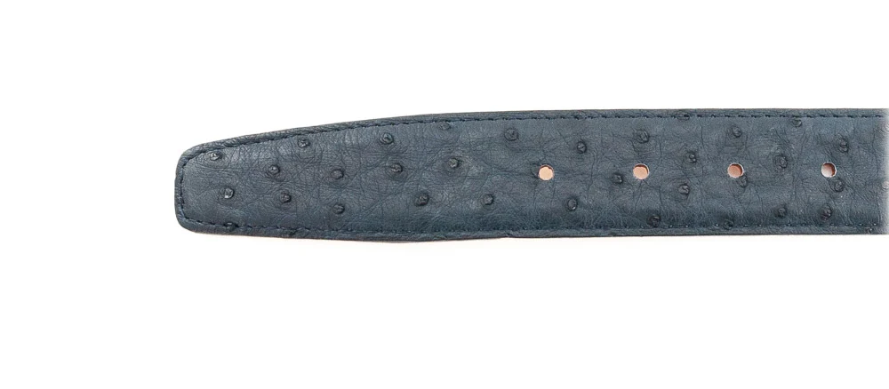 SILVANO BIAGINI - CEINT C102 AUT