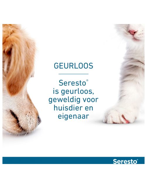 Seresto Teken- En Vlooienband Large - Anti tekenmiddel