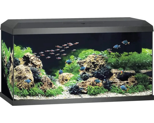 Juwel aquarium inclusief deksel, verlichting, filtersysteem inclusief circulatiepomp, binnenfilter, verwarming/verwarmingsstaaf, 81 x 36 x 43,5 cm, ca. 110 l