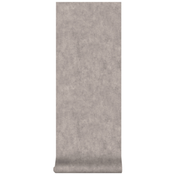 Vliesbehang Beton taupe 103481