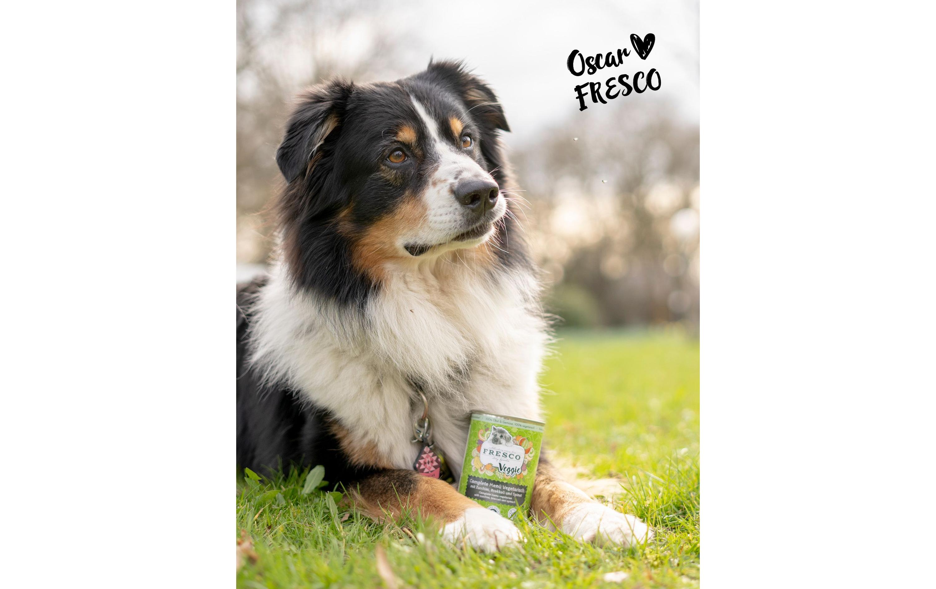 Nassfutter Complete Plus Vegetarisch 400 gErgänzungsfuttermittel für Hunde