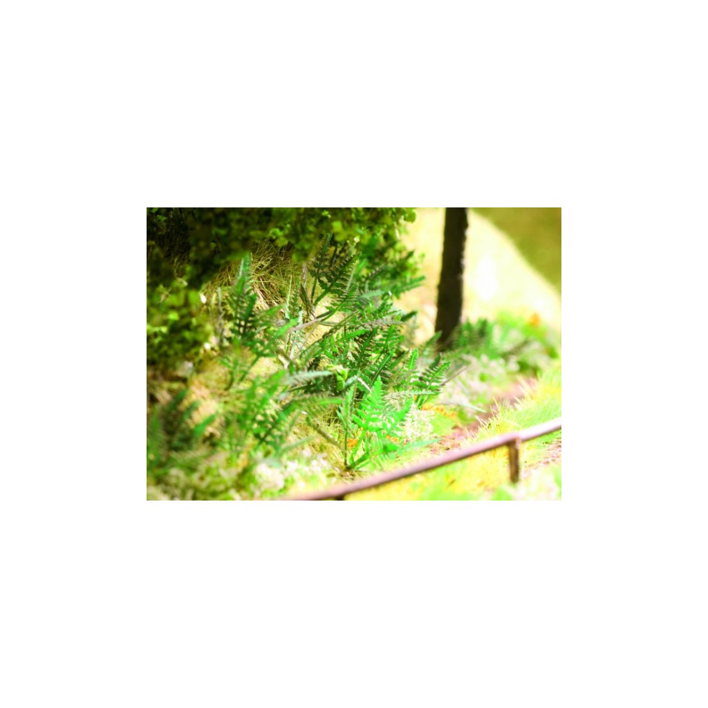 Ziterdes: Fern (9pcs.)