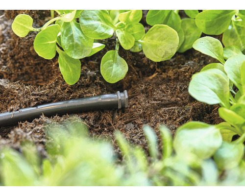 GARDENA Micro-Drip-System afsluitpluggen 4,6 mm (3/16