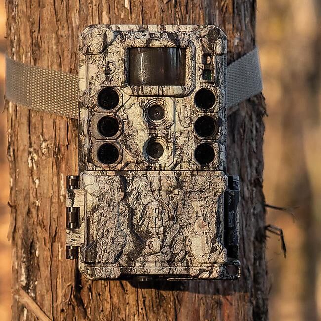 BUSHNELL - PIEGE PHOTOGRAPHIQUE CORE DS 4K