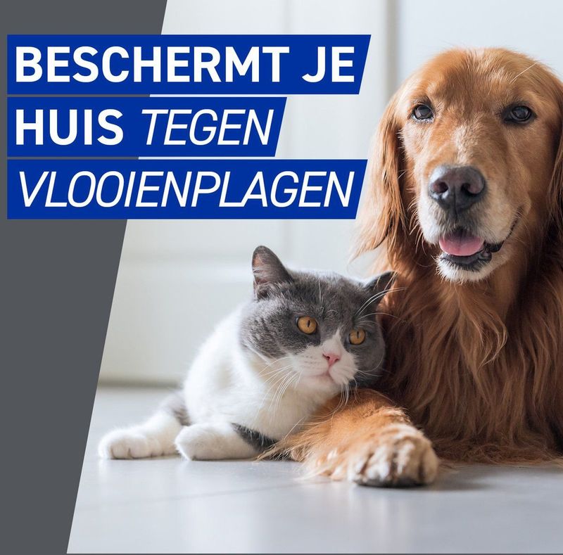 Frontline Homegard - Anti Vlooien Omgevingsspray - 500 ml