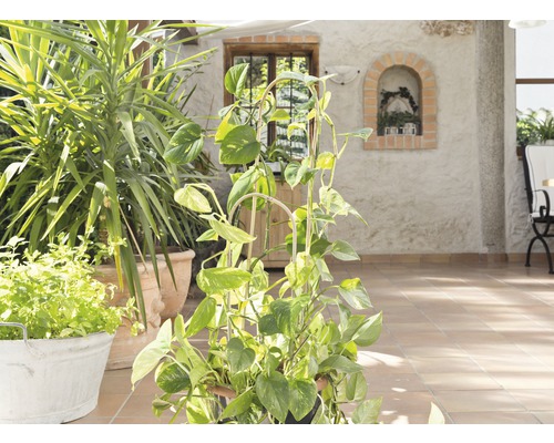Bamboe trellis set FloraSelf H 60 + 90 cm 2 stuks