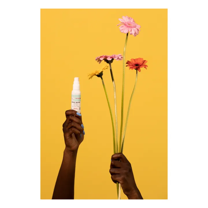 Z&MA Spray mains désinfectant - 50ml