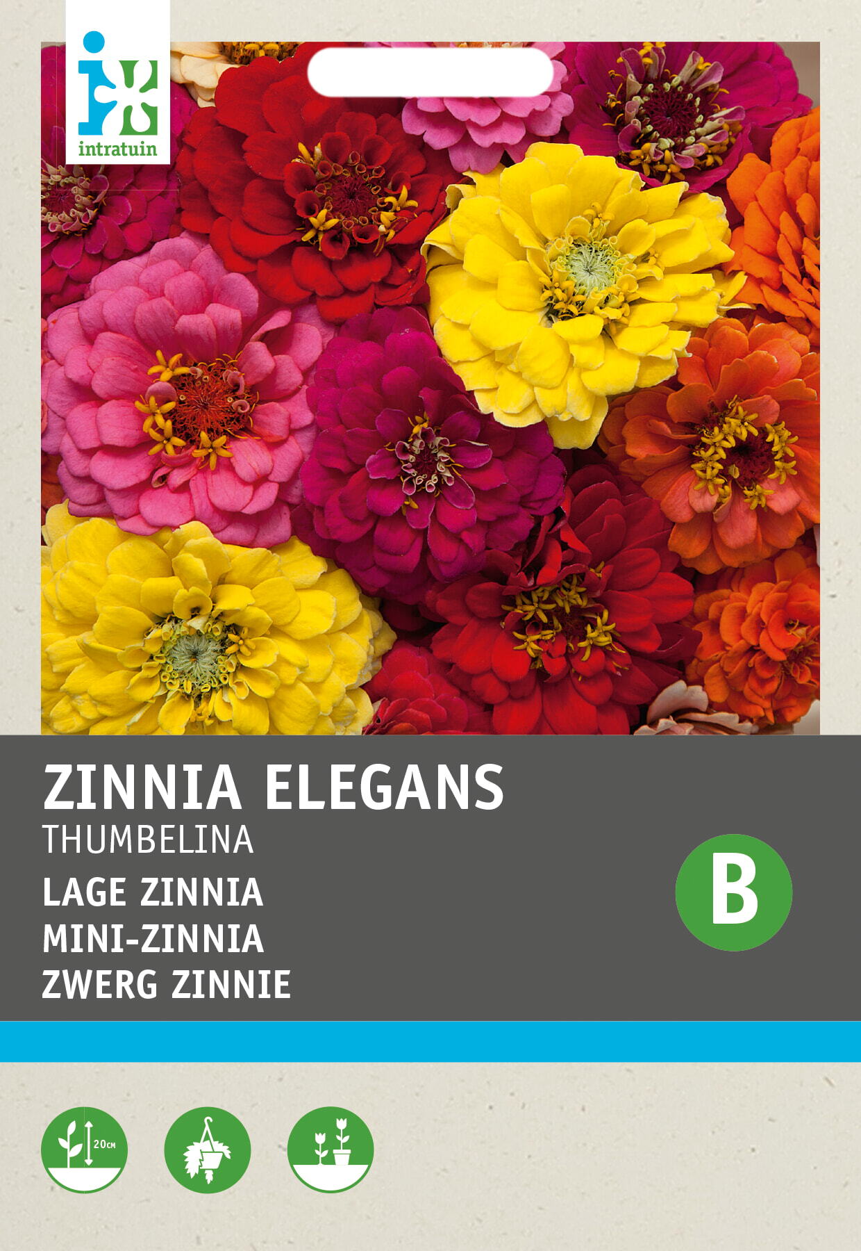 Intratuin bloemenzaad Zinnia gemengd (Zinnia elegans 'Thumbelina')