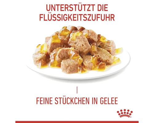 Royal Canin Hair & Skin natvoer voor katten in gelei, ter ondersteuning van een gezonde huid en een glanzende vacht, in gelei, 85 g